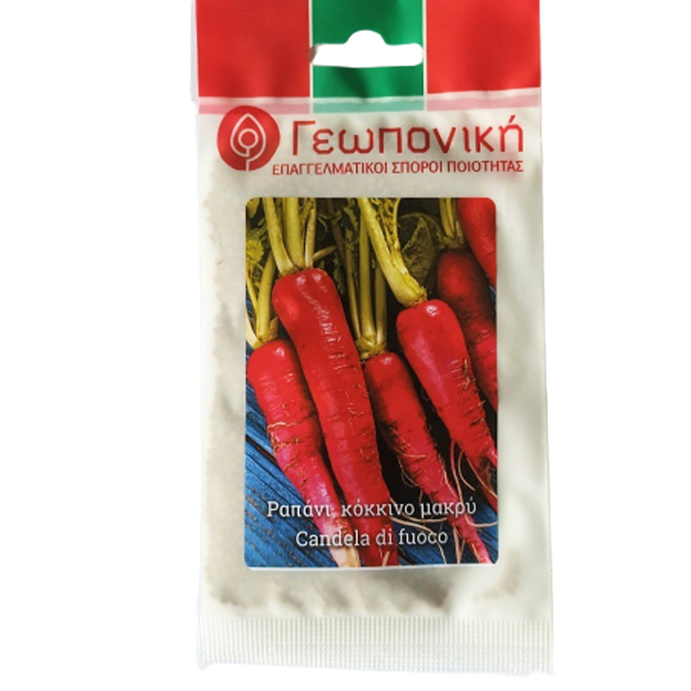 Ραπάνι Κόκκινο Μακρύ