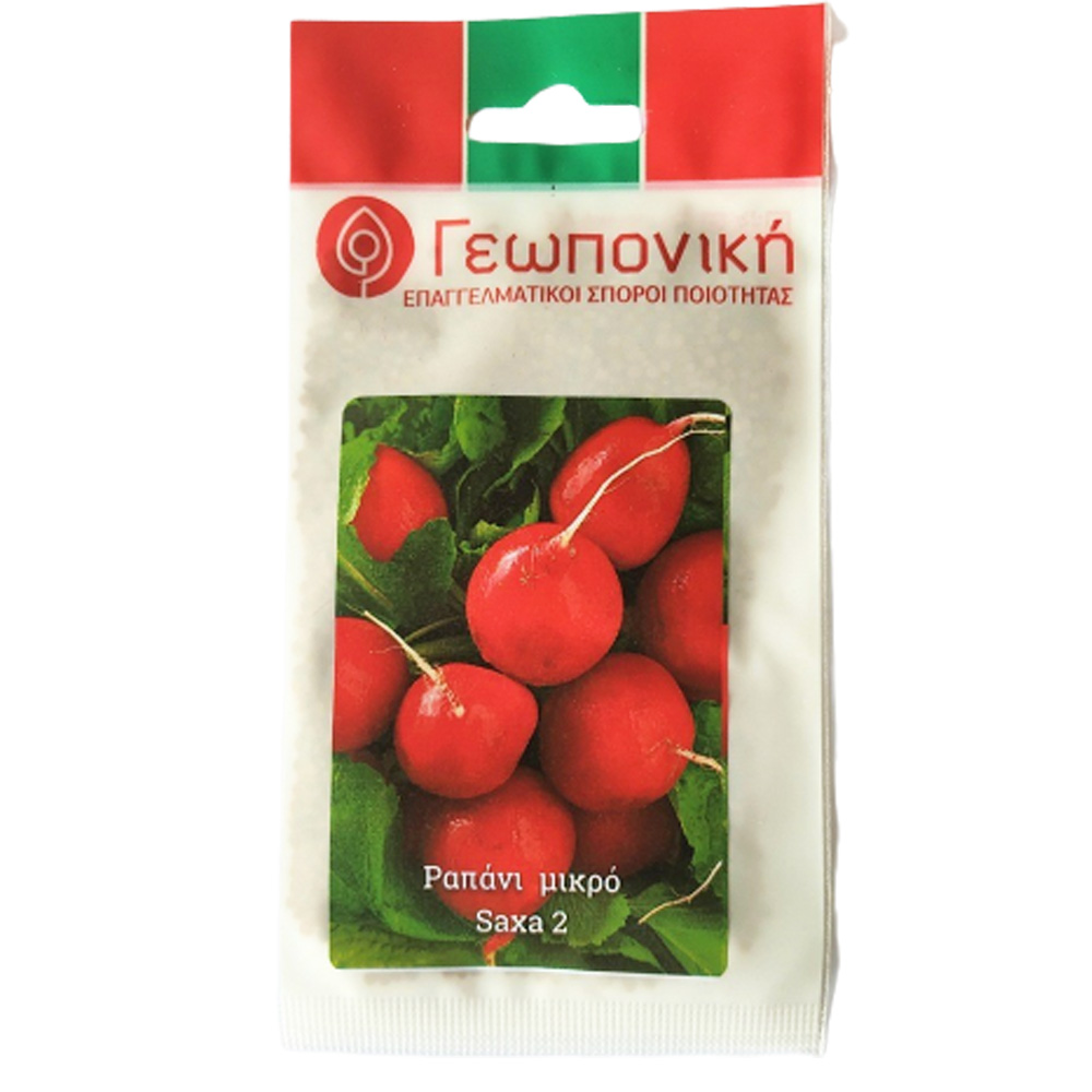 Ραπάνι Μικρό
