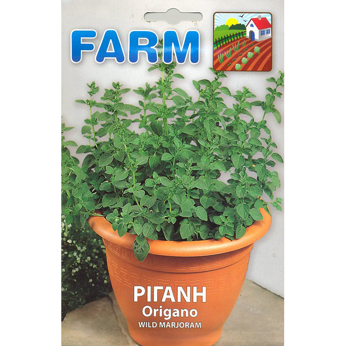 Ρίγανη Αρωματική