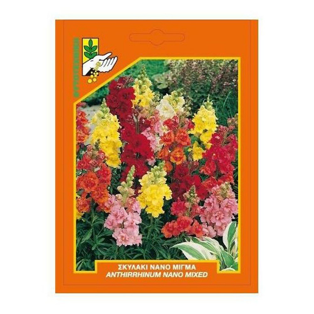 Σκυλάκι Κοντό Μίγμα