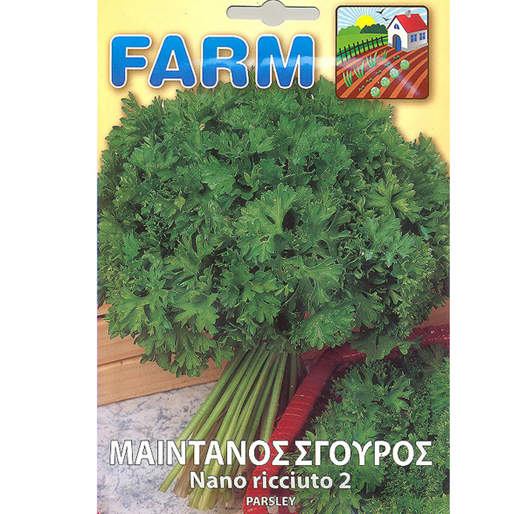 Μαϊντανός Σγουρός