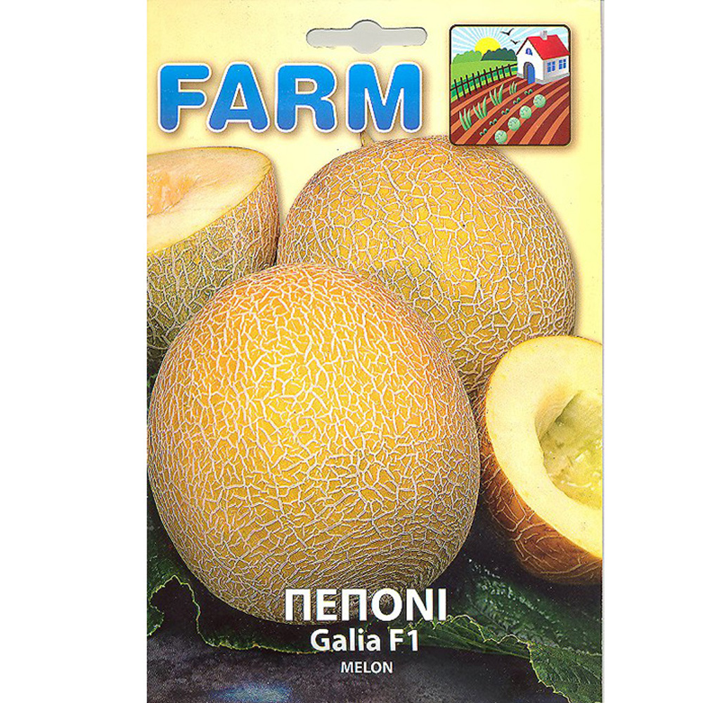 Πεπόνι Galia F1