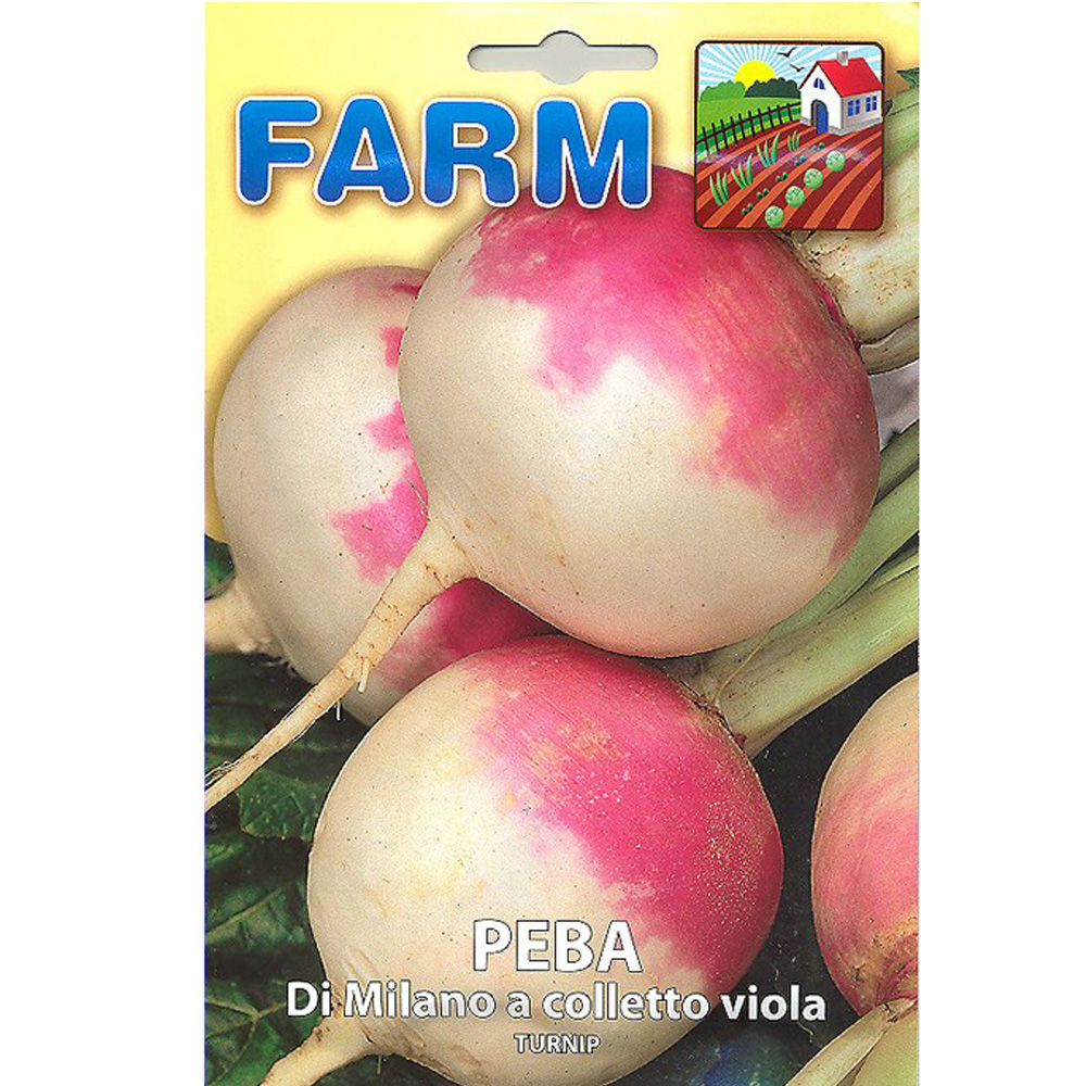 Ρέβα (Γογγύλι Δίχρωμο)