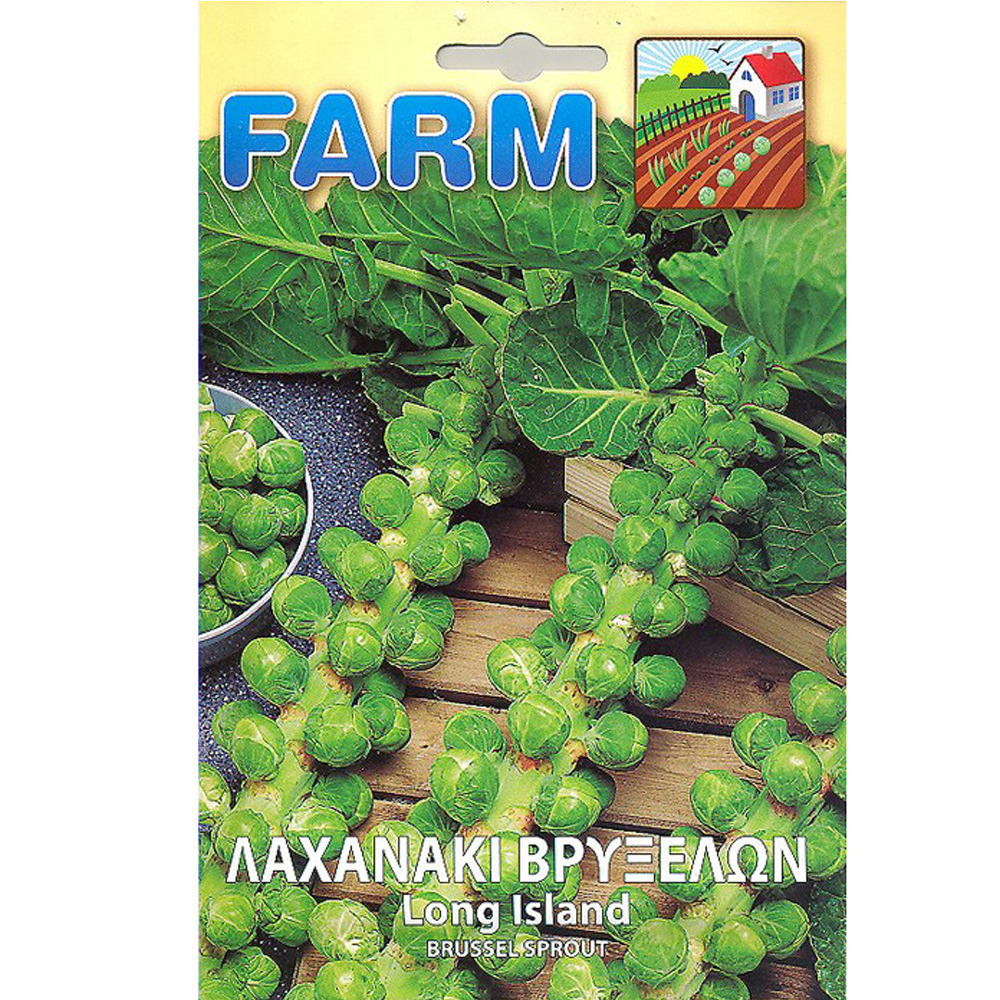 Λαχανάκι Βρυξελλών