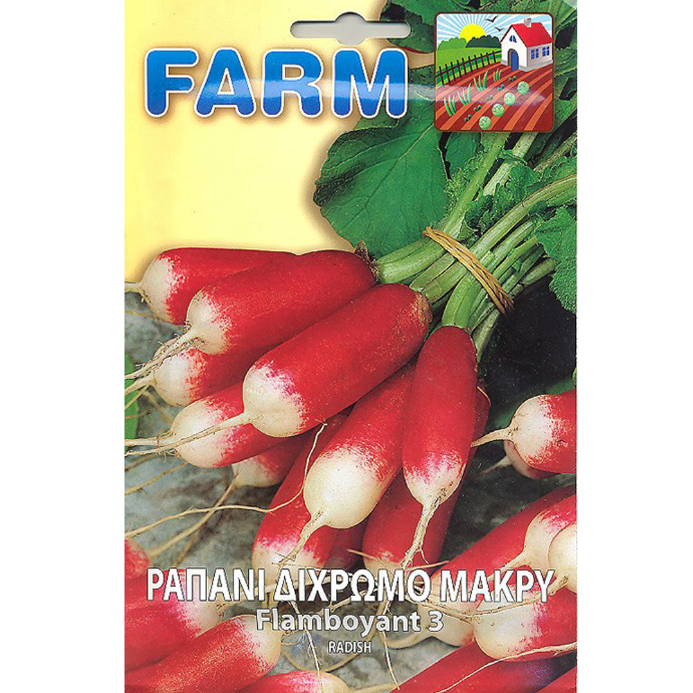 Ραπάνι Δίχρωμο Μακρύ