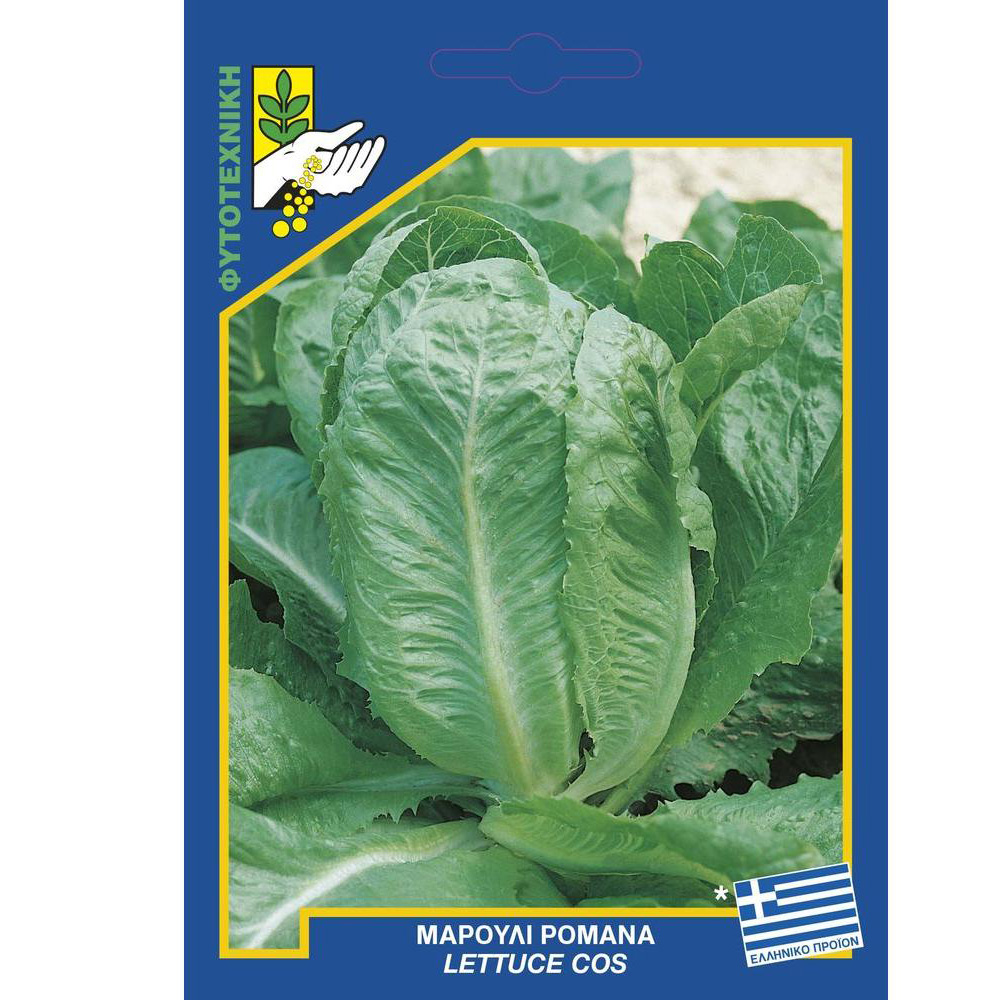 Μαρούλι Ρομάνα