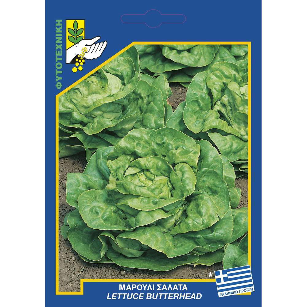 Μαρούλι τύπου Butterhead