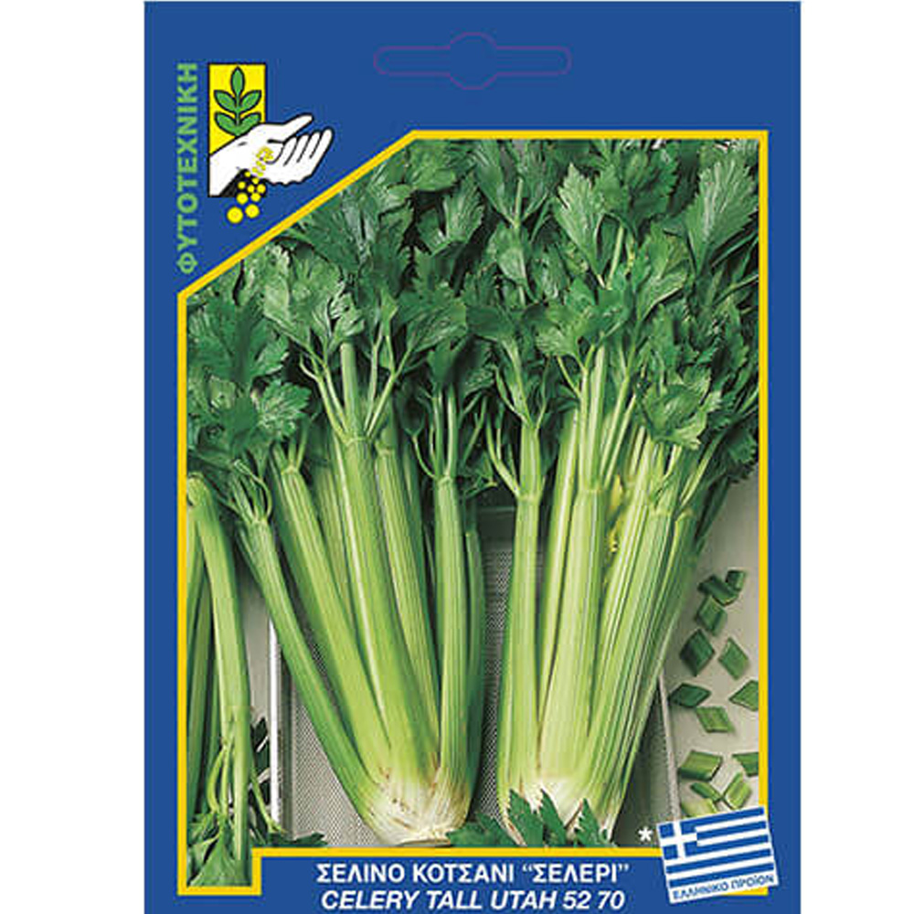 Σέλινο Κοτσάνι 