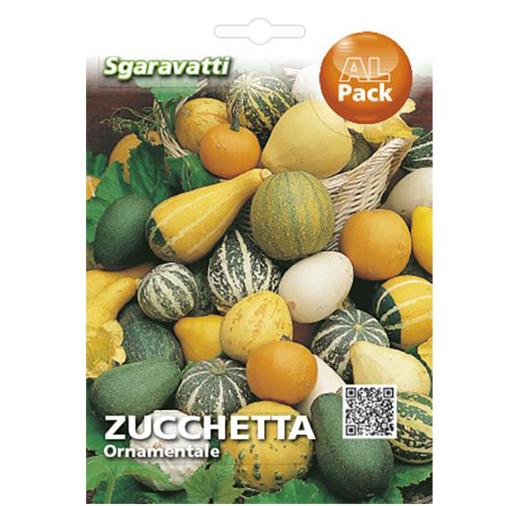 Κολοκύθα Διακοσμητική