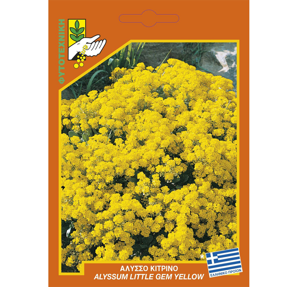 Άλυσσο Κίτρινο