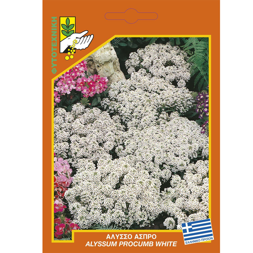 Άλυσσο Λευκό
