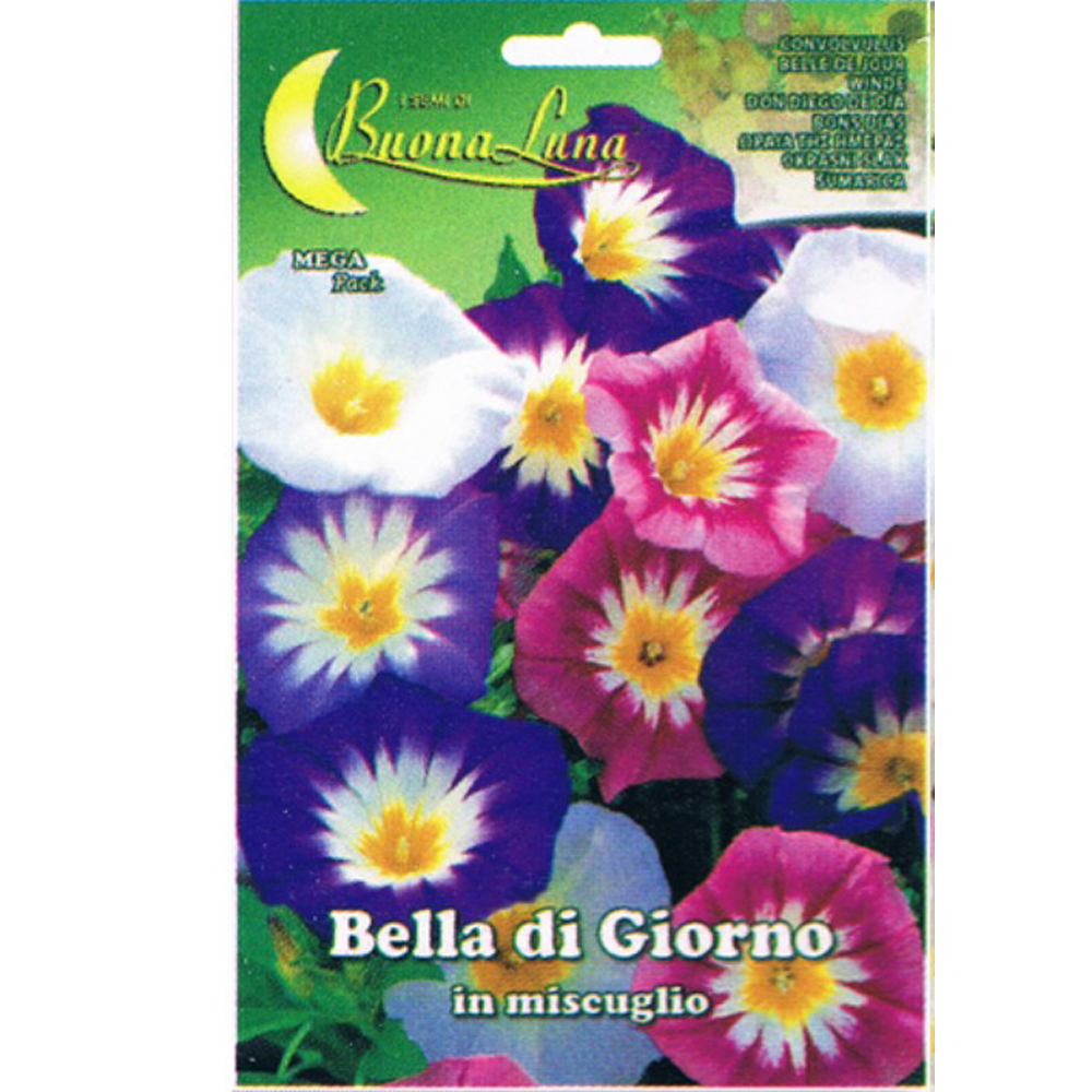 Η Ωραία της Ημέρας