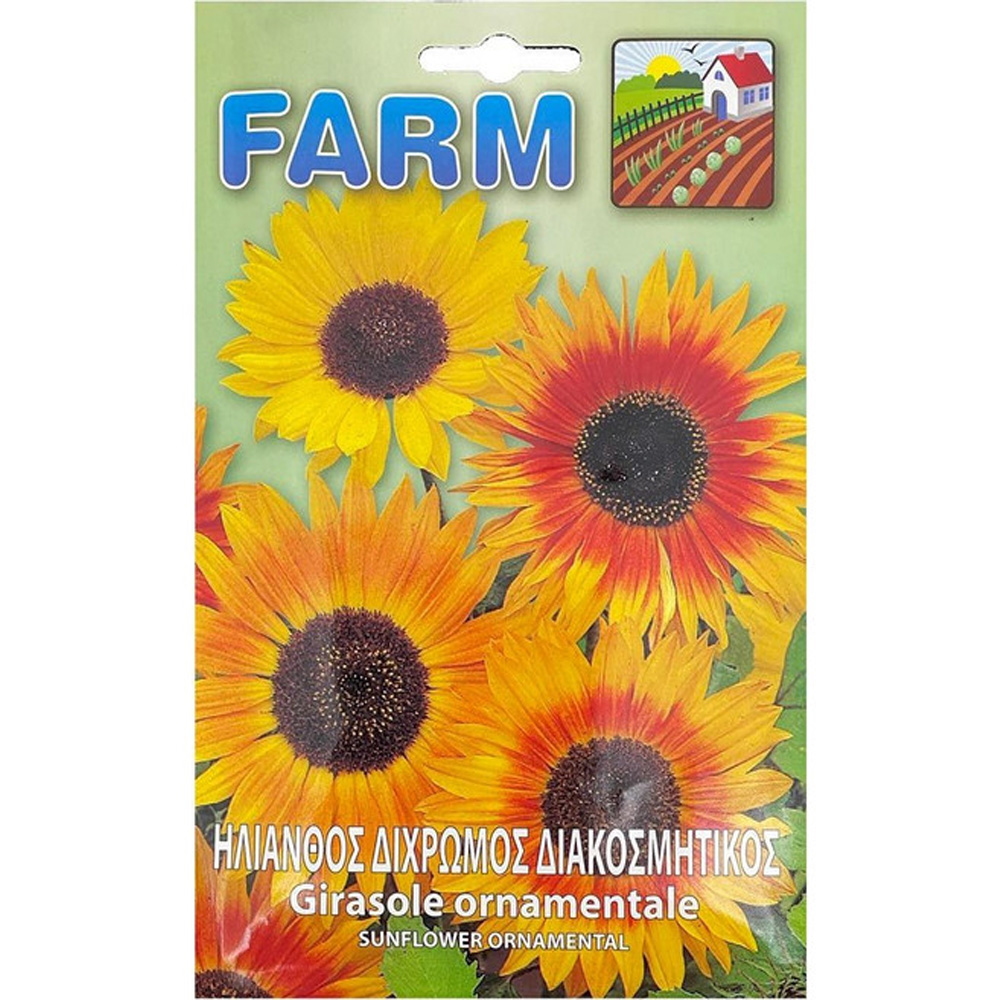 Ηλίανθος Δίχρωμος Διακοσμητικός