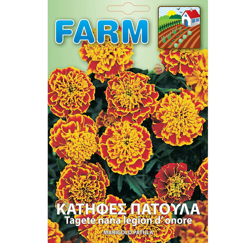 Κατηφές Πάτουλα