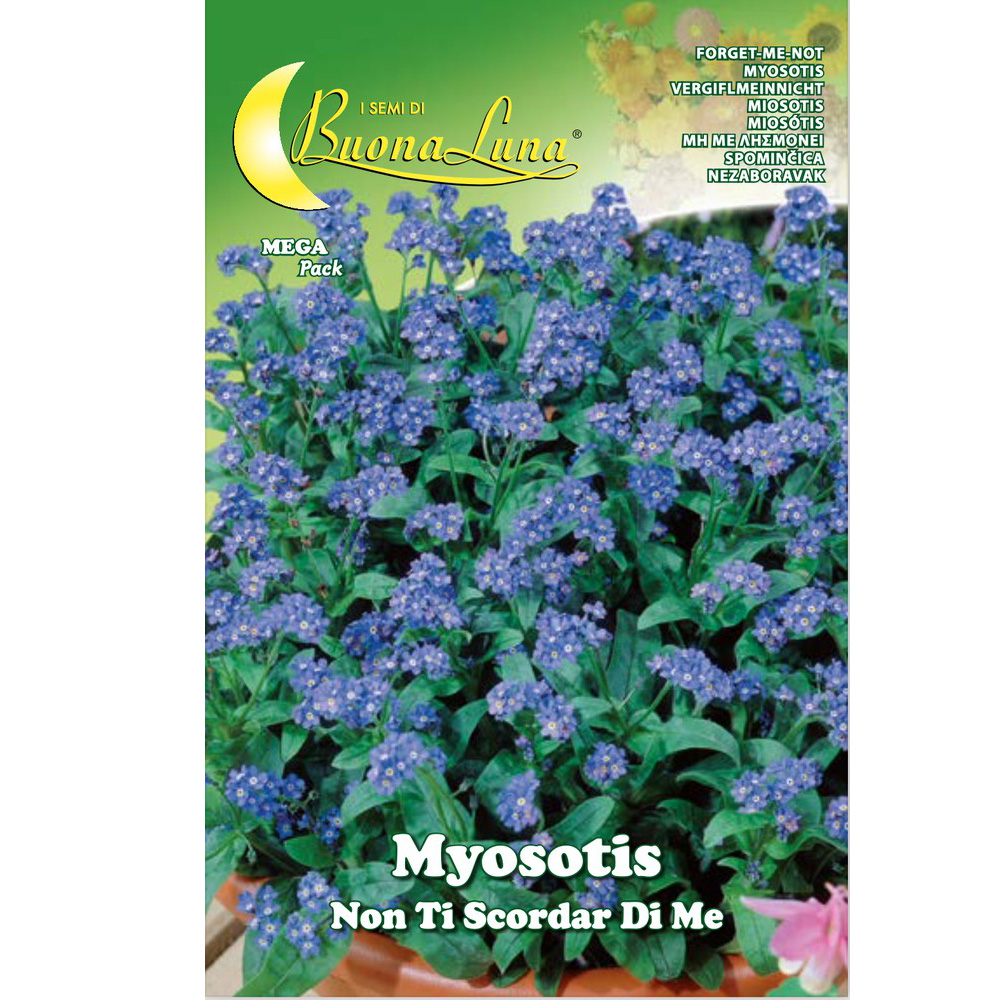 Μη με Λησμόνει 