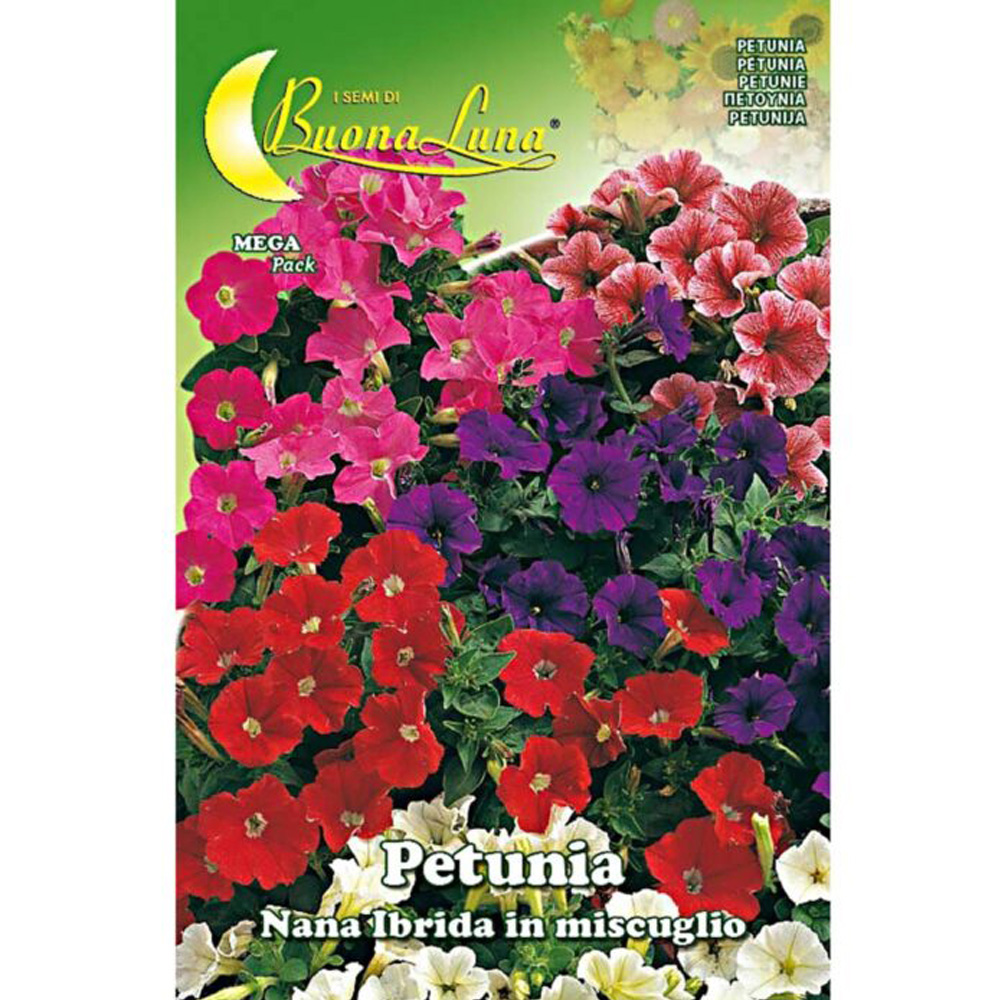 Πετούνια Νάνα Μίγμα 