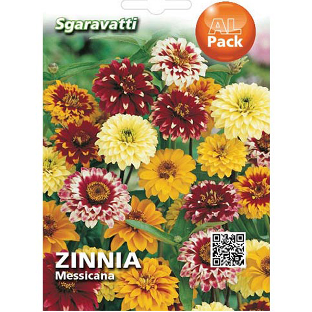 Ζίννια Μεξικάνα