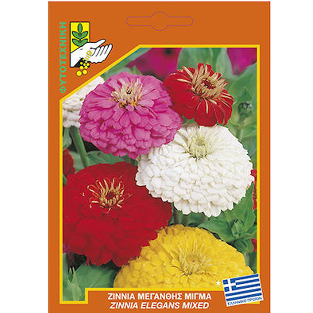 Ζίννια Μεγανθής Μίγμα