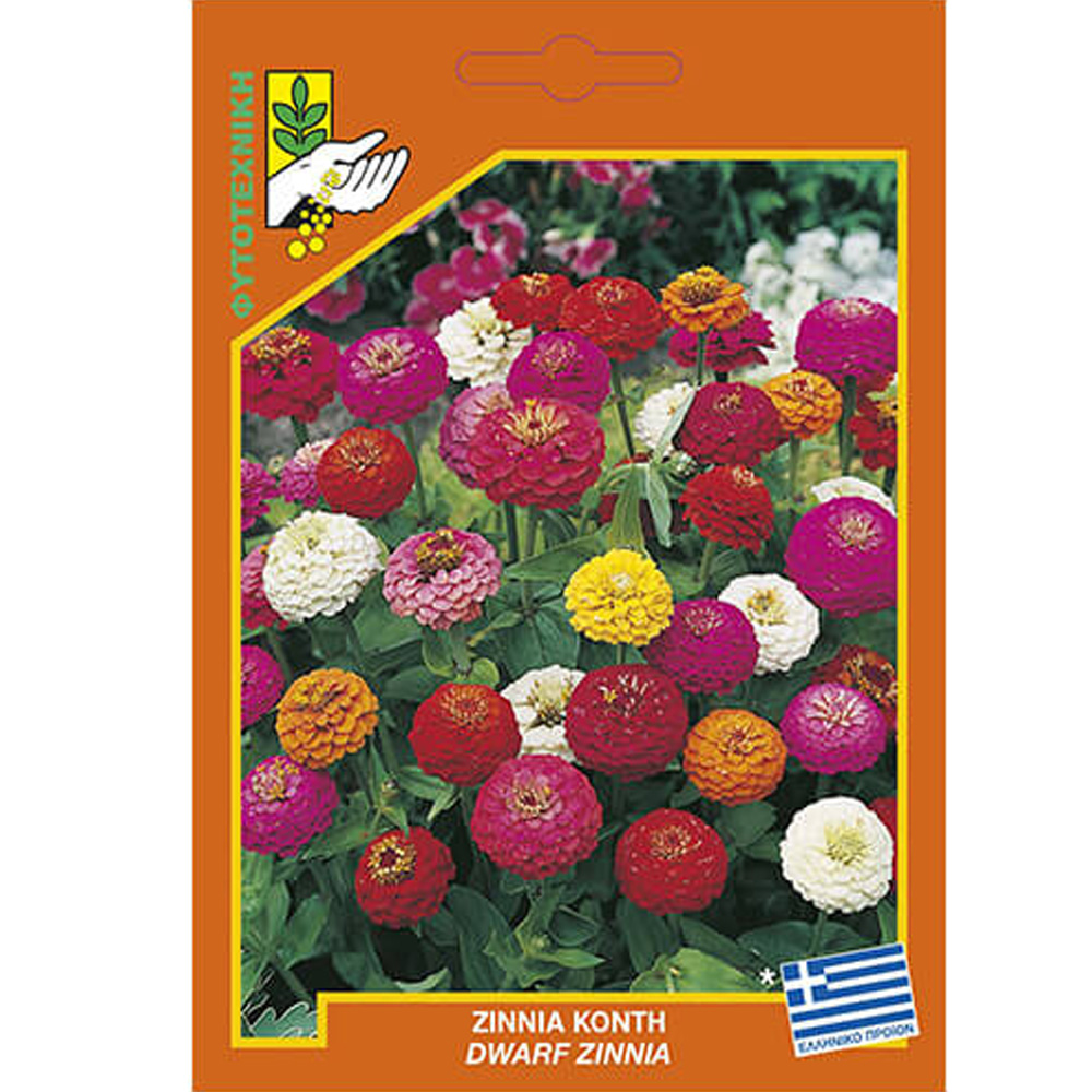 Ζίννια Κοντή