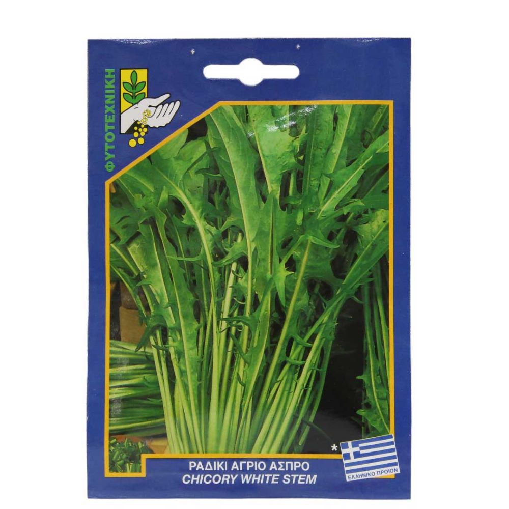 Ραδίκι Άγριο Άσπρο