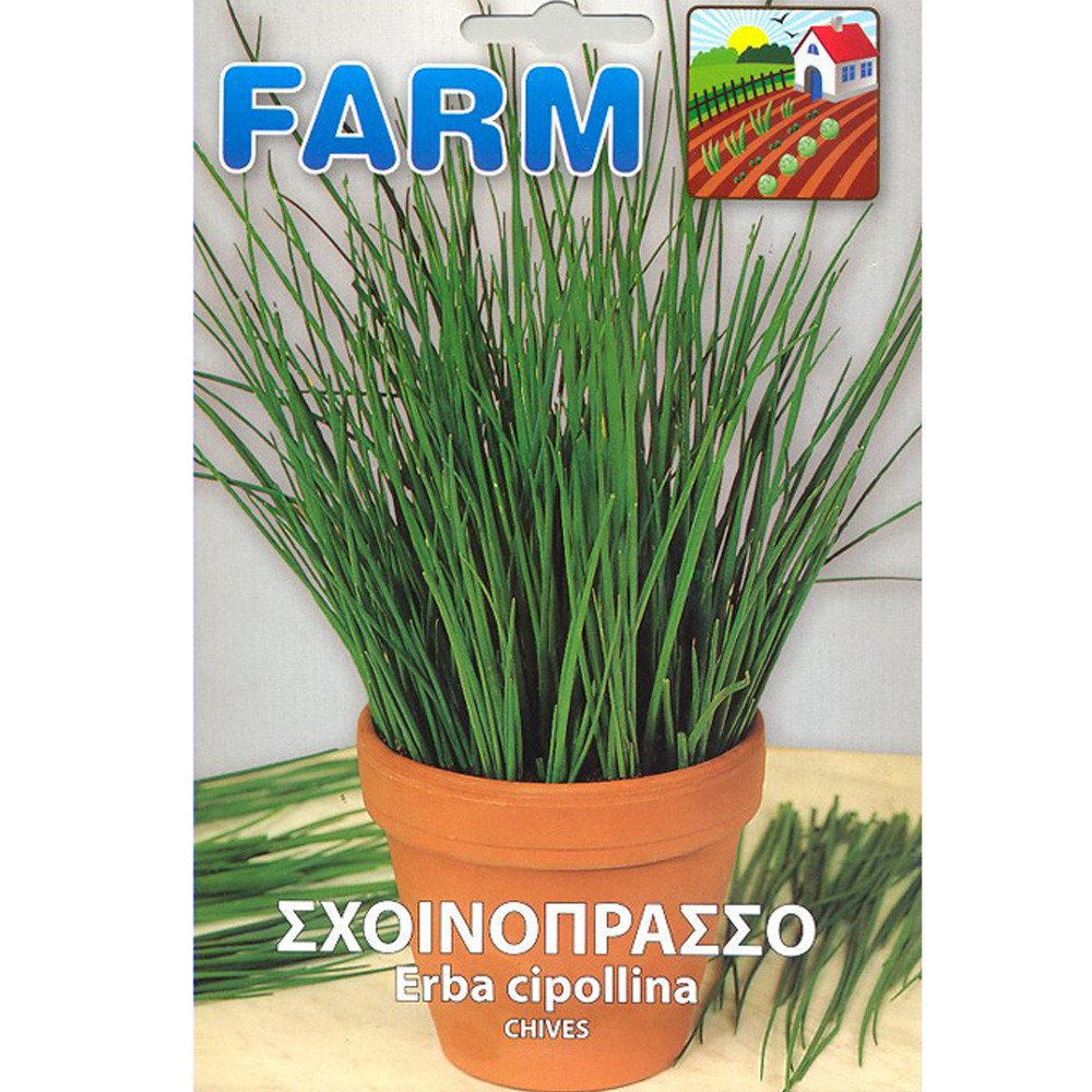 Σχοινόπρασσο 