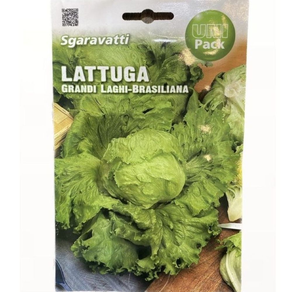 Μαρούλι τύπου Iceberg