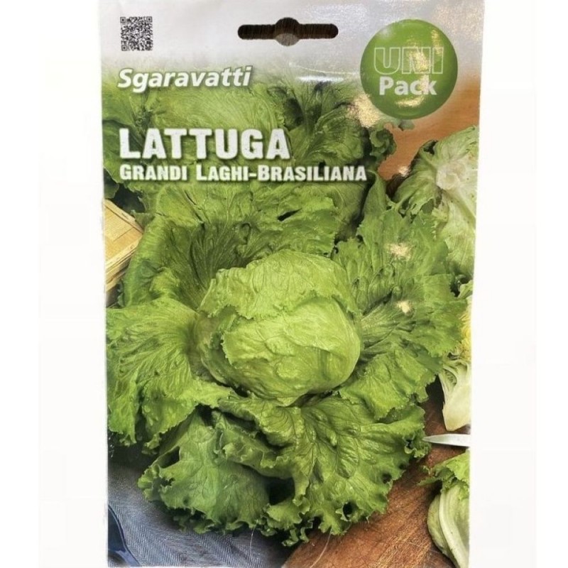 Μαρούλι τύπου Iceberg