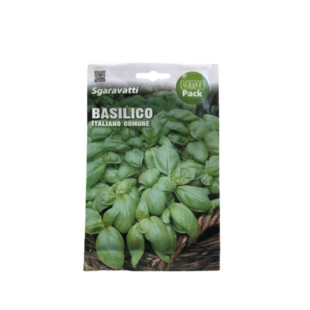 Βασιλικός Ιταλικός Πλατύφυλλος