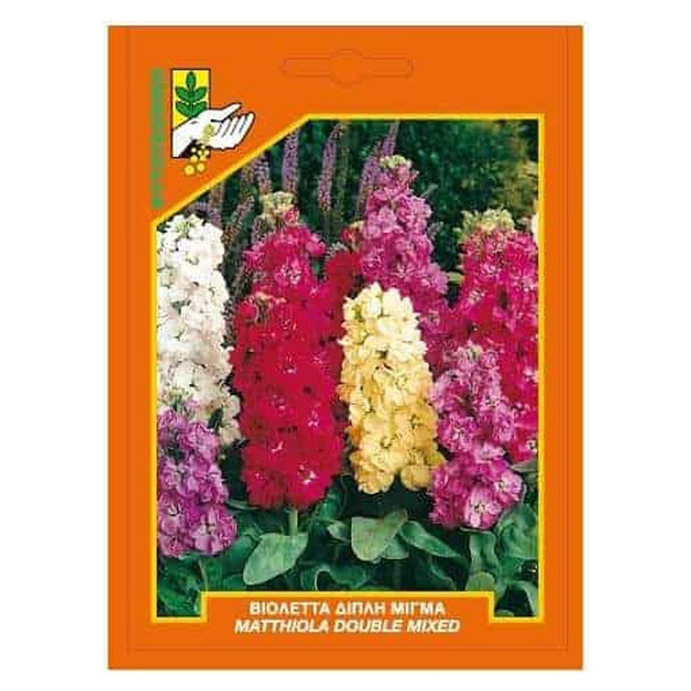 Βιολέτα Διπλή Μίγμα