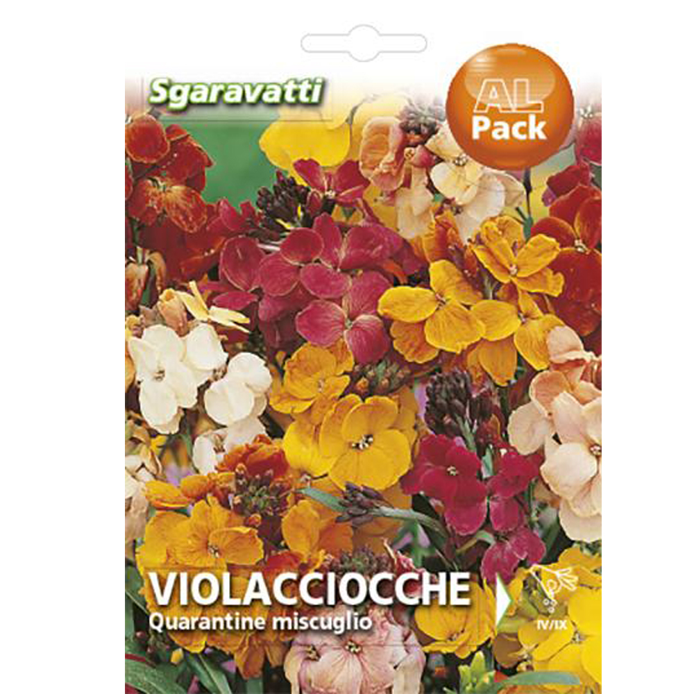 Βιολέτα Μονή