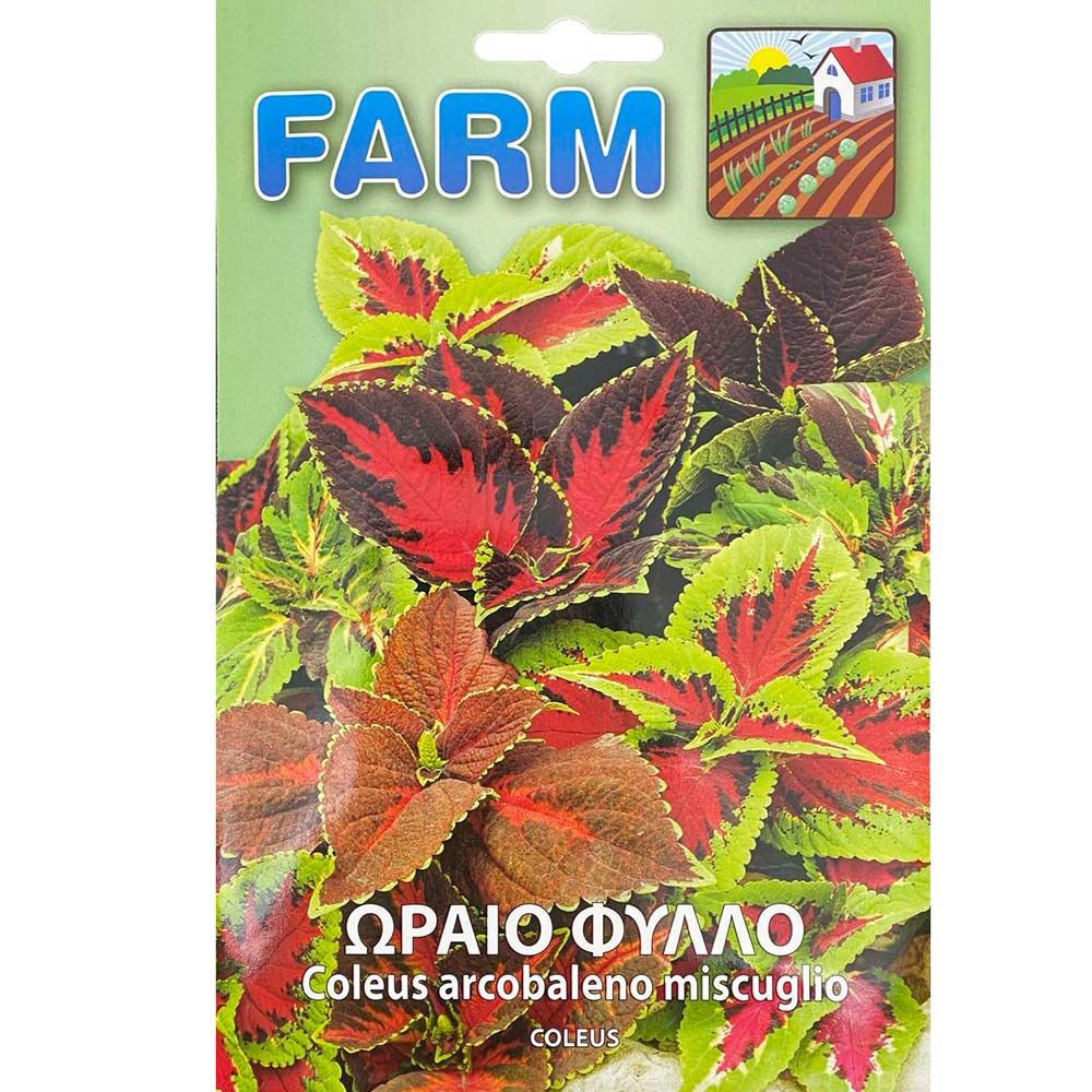 Ωραιόφυλλο 