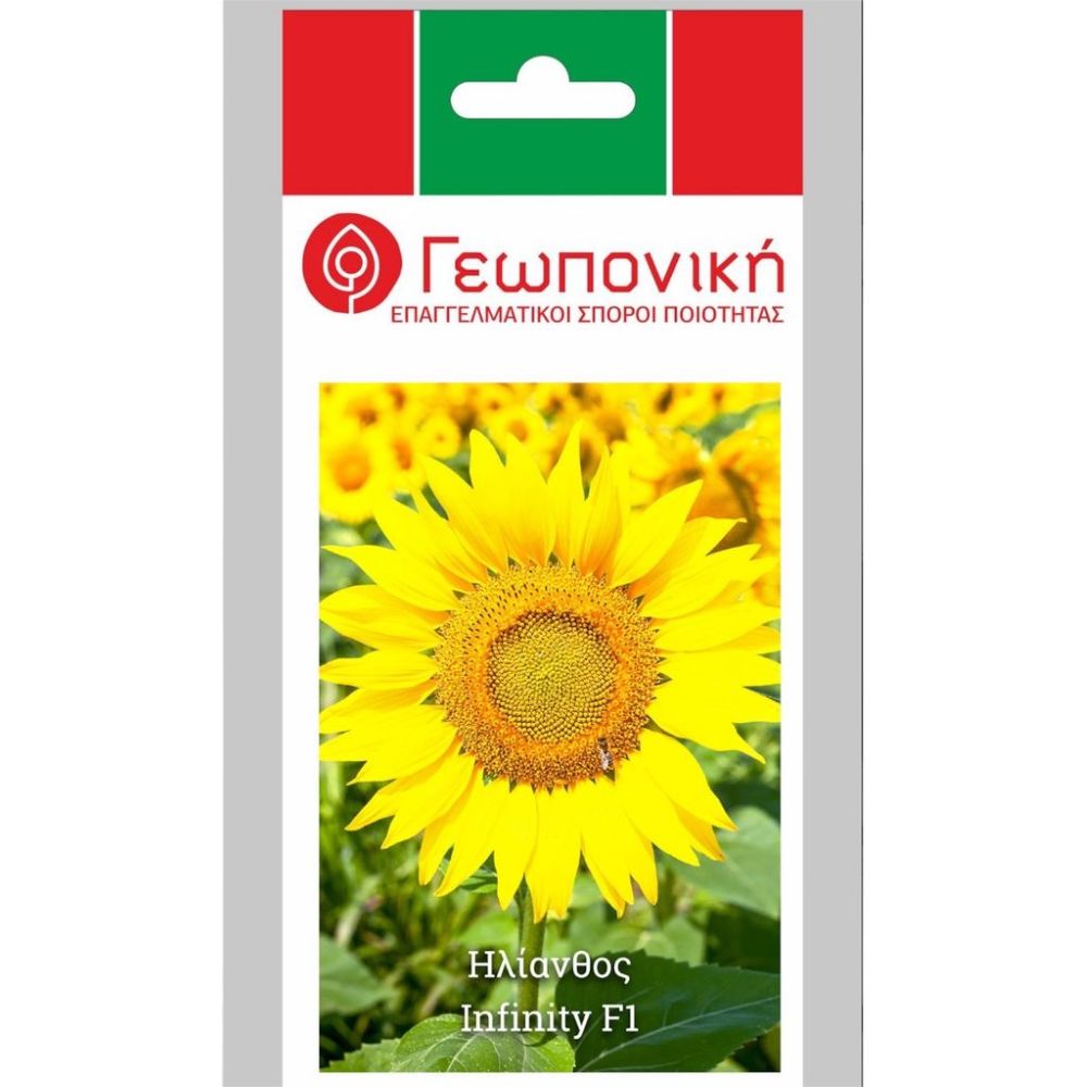 Ηλίανθος Infinity F1