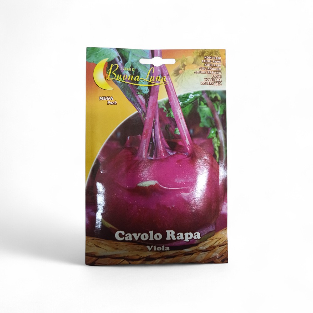 Γογγύλι Μώβ