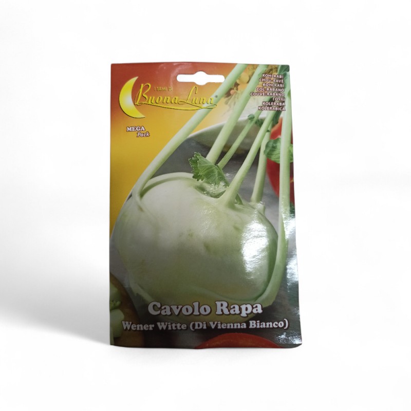 Γογγύλι Λευκό