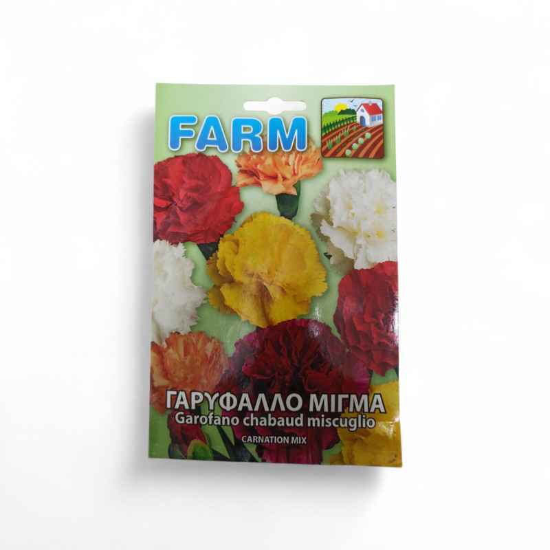 Γαρύφαλλο Μίγμα 