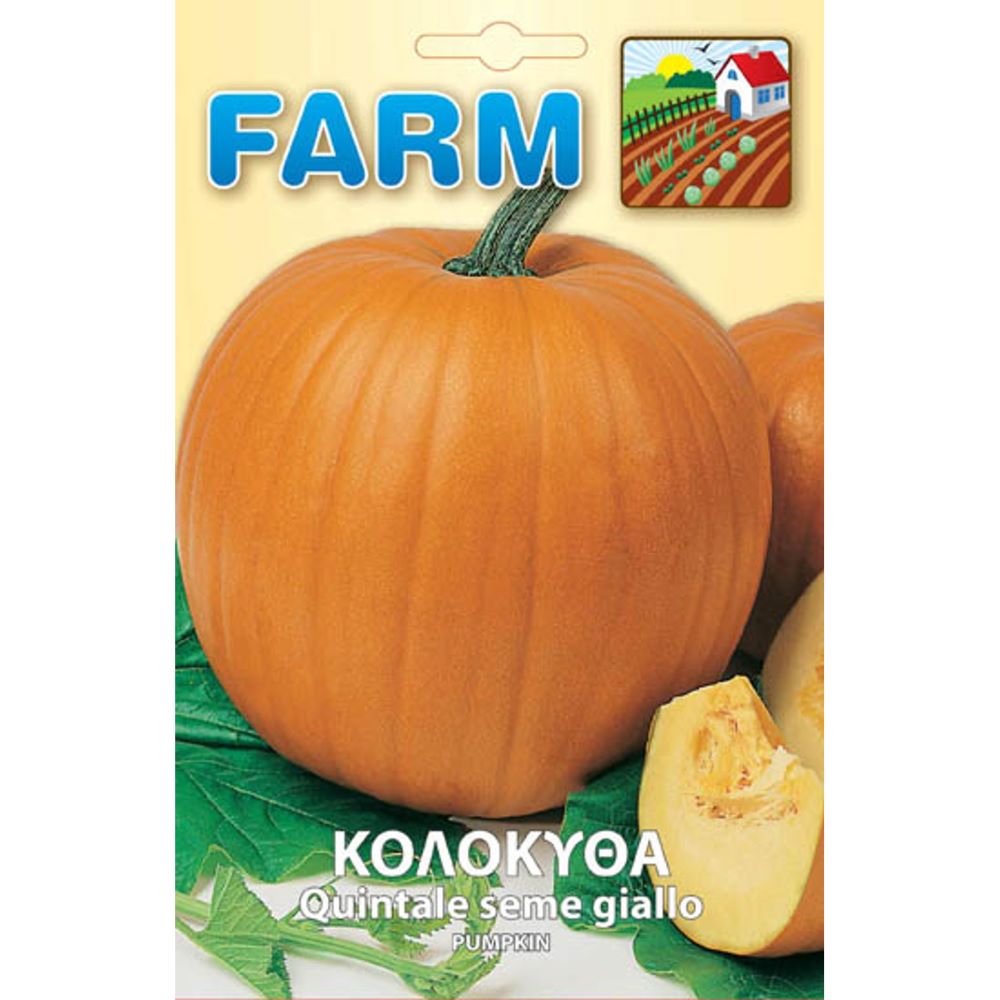 Κολοκύθα Quintale