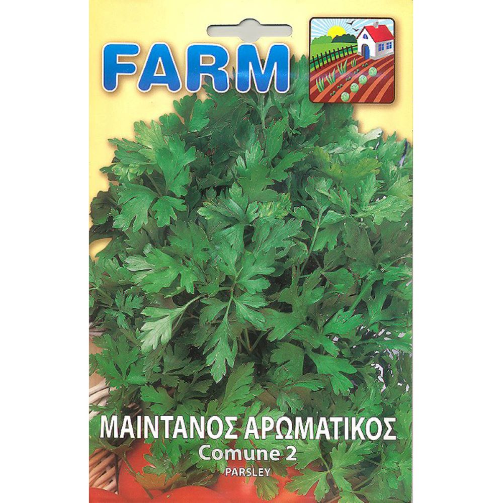 Μαϊντανός Αρωματικός