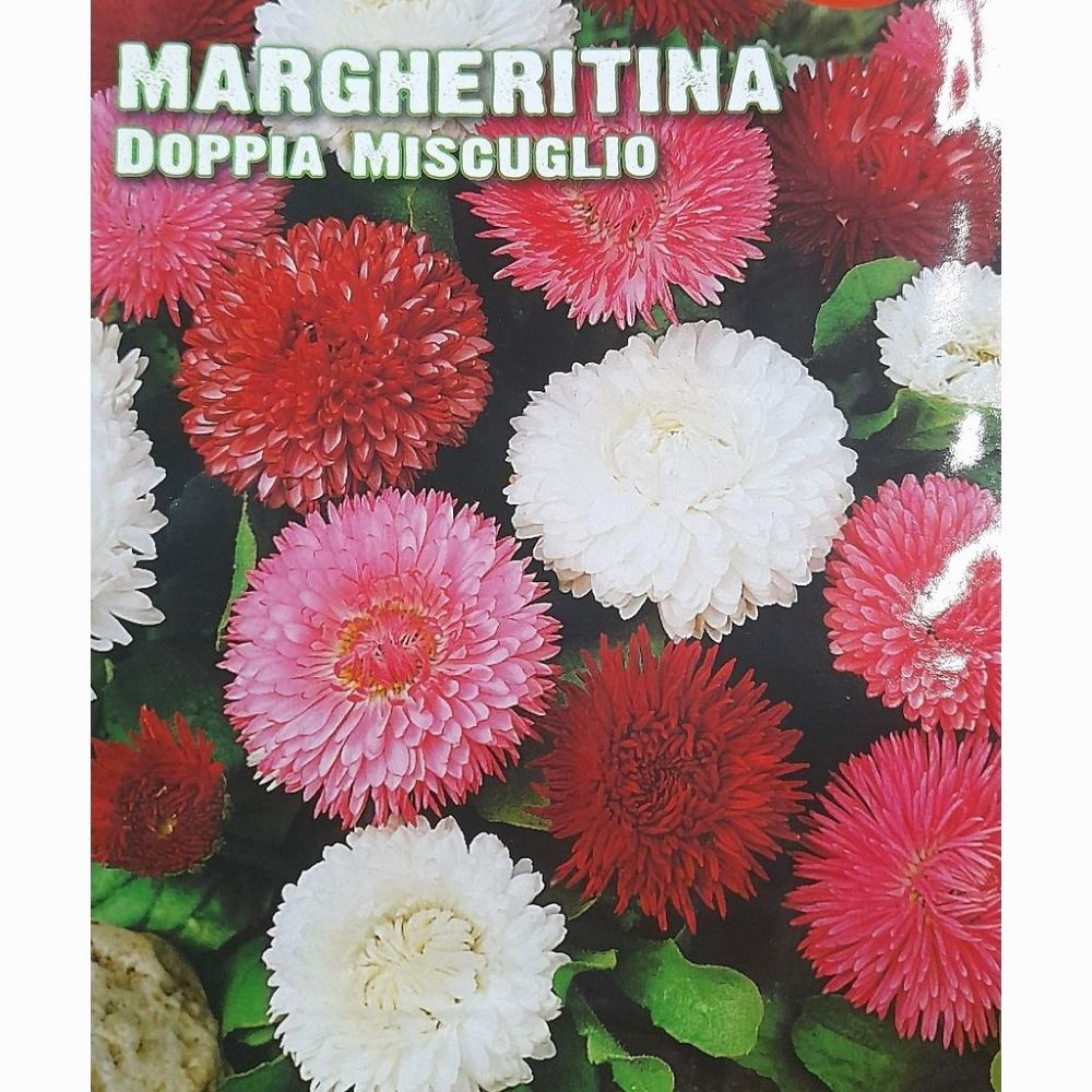 Μαργαρίτα Διπλή Μίγμα