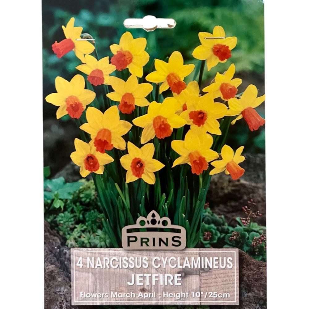 Νάρκισσος Jetfire